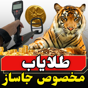 قیمت و خرید و مشخصات گنجیاب گوفایند 66 ماینلب (go-find-66)